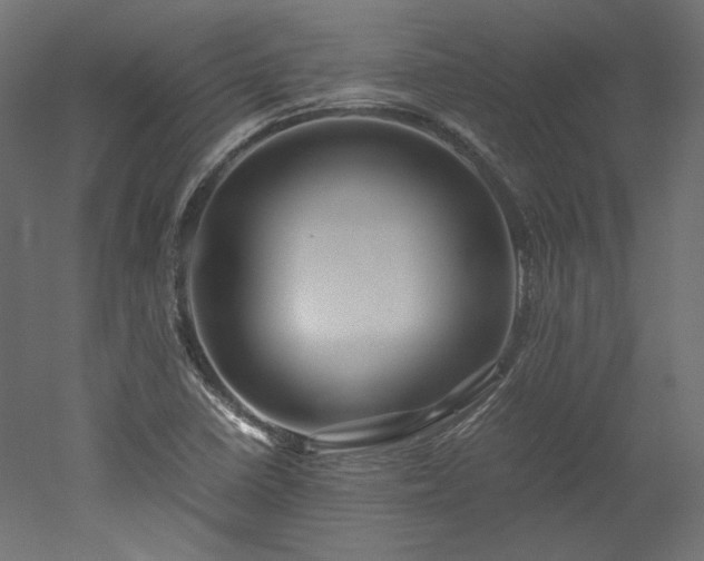 X0000051901410200507011455