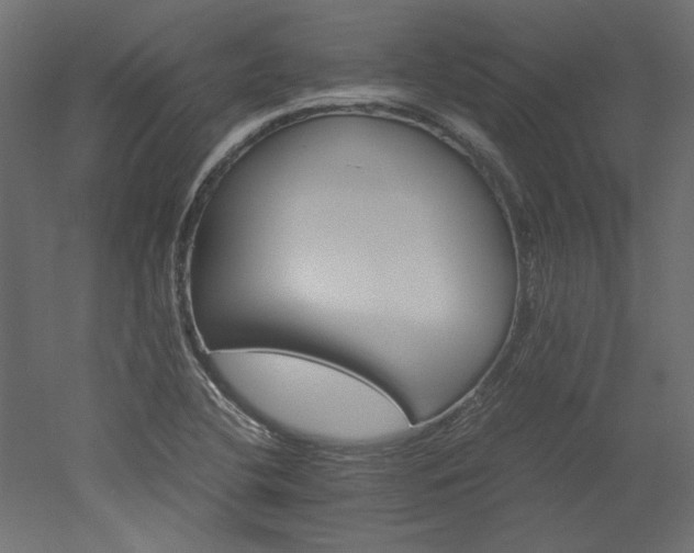 X0000051901412200507011455