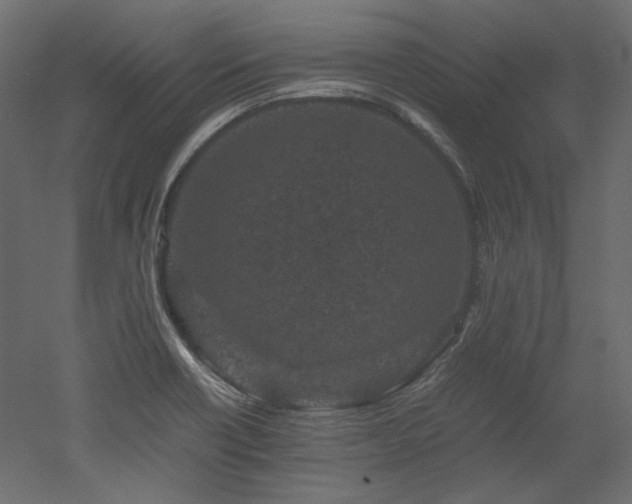 X0000051901418200507011455