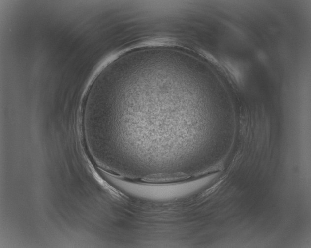 X0000051901421200507011455