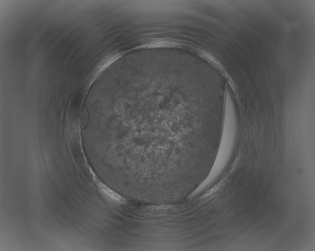 X0000051901425200507011455