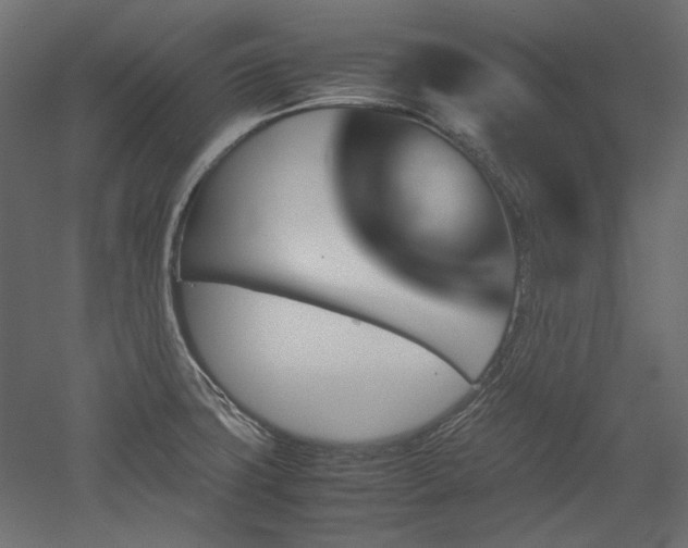 X0000051901427200507011455