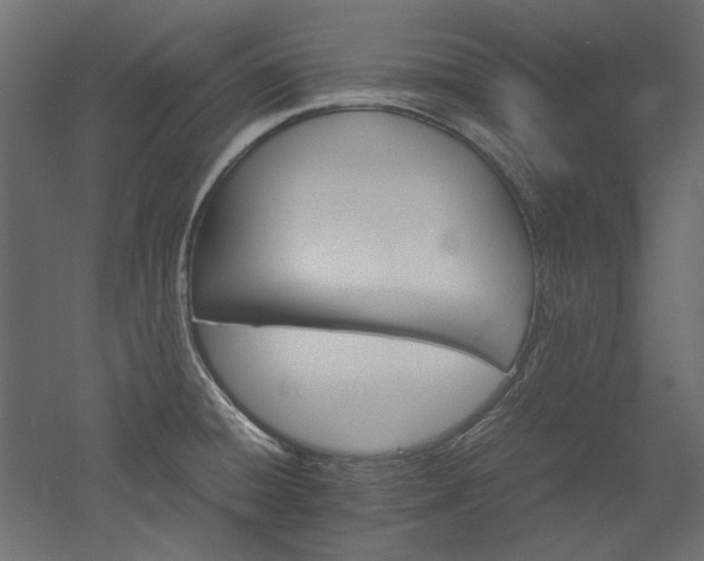 X0000051901428200507011455