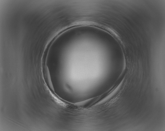 X0000051901430200507011455