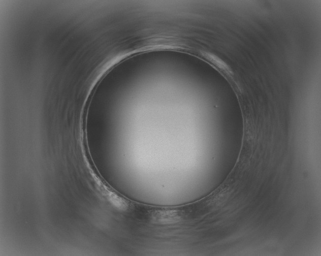 X0000051901431200507011455
