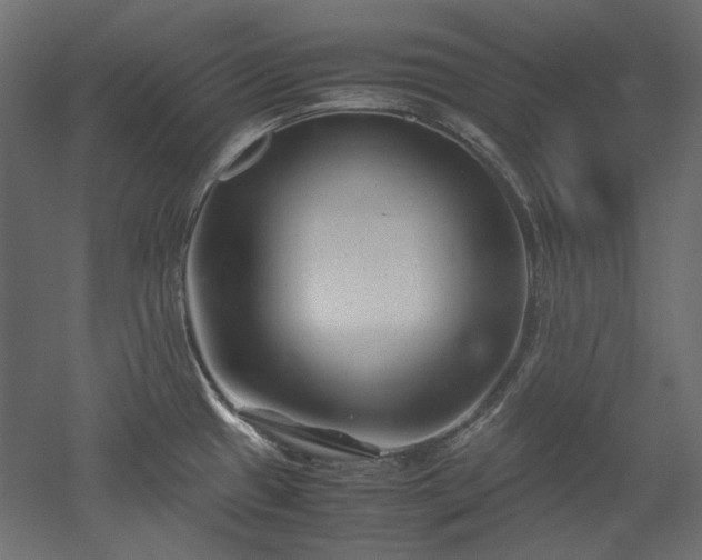 X0000051901433200507011455