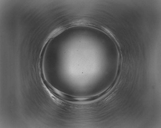 X0000051901434200507011455