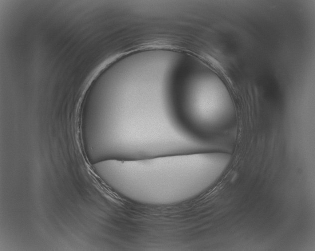 X0000051901435200507011455