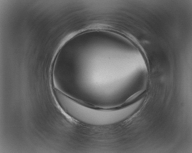 X0000051901437200507011456