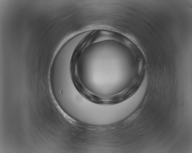 X0000051901438200507011456