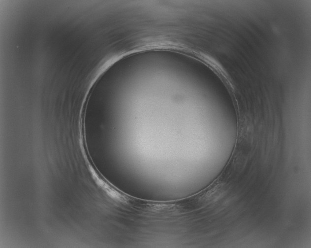 X0000051901439200507011456