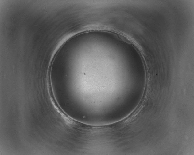 X0000051901440200507011456