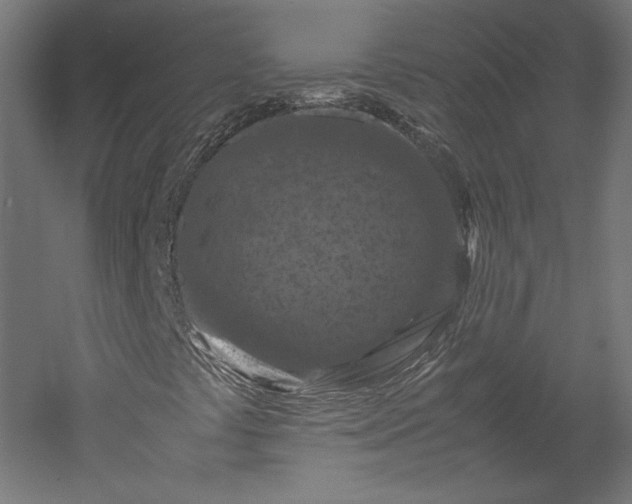X0000051901441200507011455