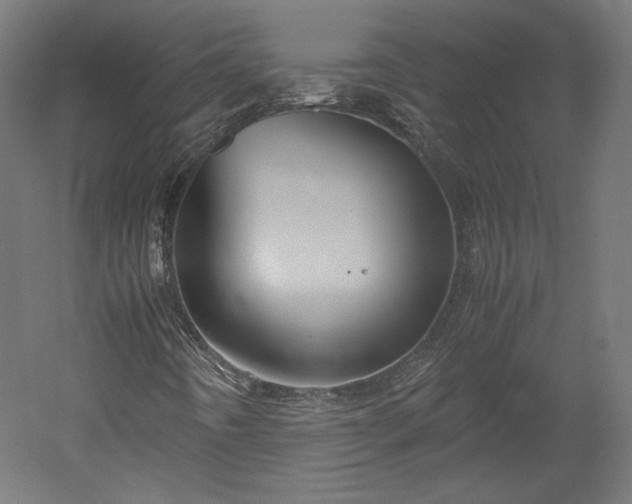 X0000051901442200507011455