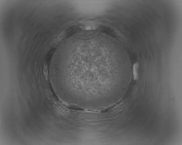 X0000051901443200507011455
