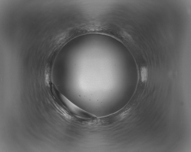 X0000051901444200507011455