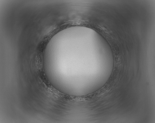 X0000051901446200507011455