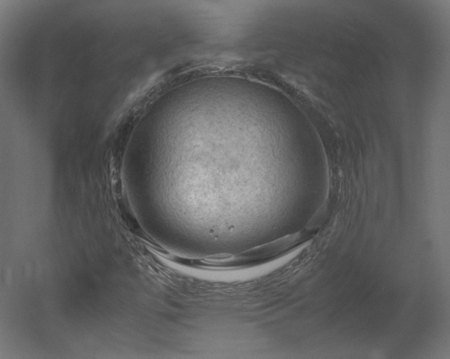 X0000051901447200507011455
