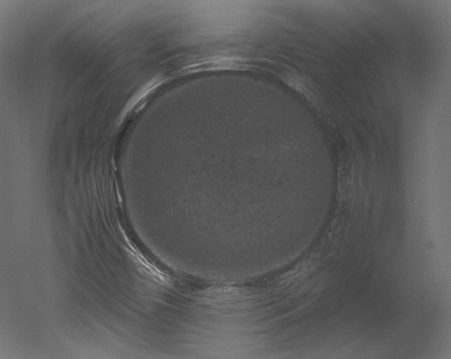 X0000051901450200507011455