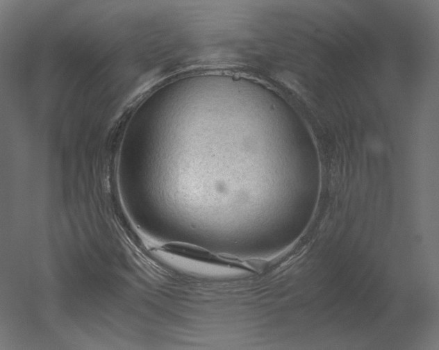 X0000051901451200507011455