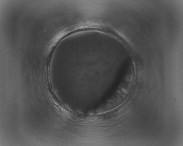 X0000051901455200507011455
