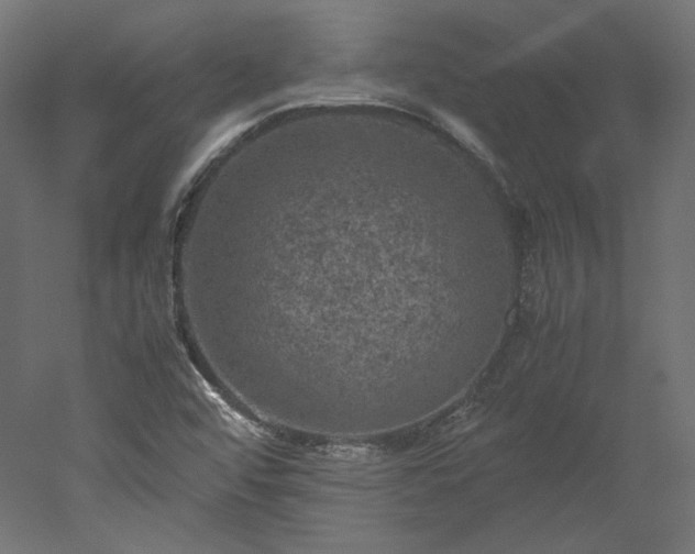 X0000051901456200507011455