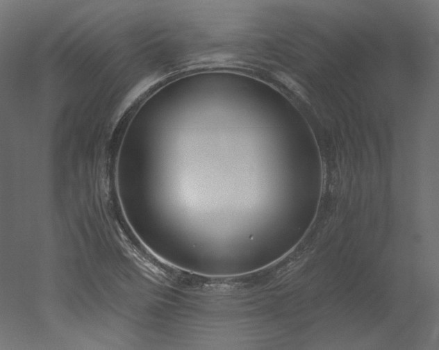 X0000051901458200507011454