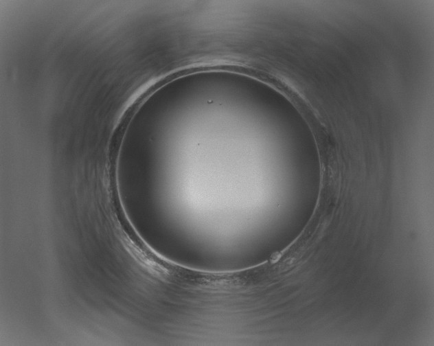 X0000051901460200507011454