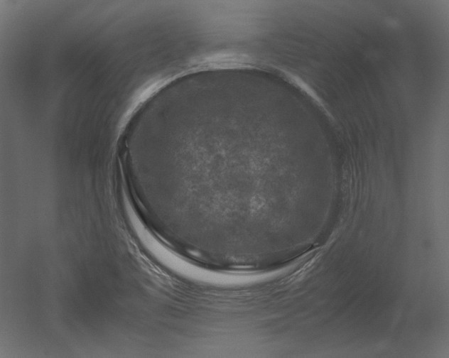 X0000051901461200507011454