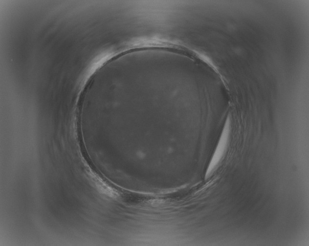 X0000051901463200507011454