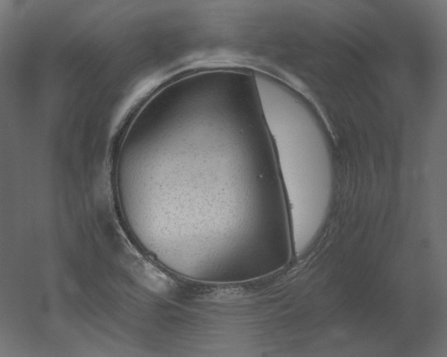 X0000051901464200507011454