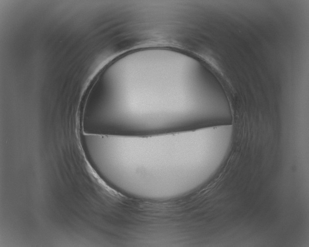 X0000051901468200507011454