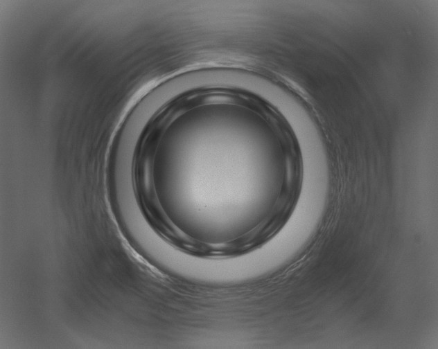 X0000051901471200507011454
