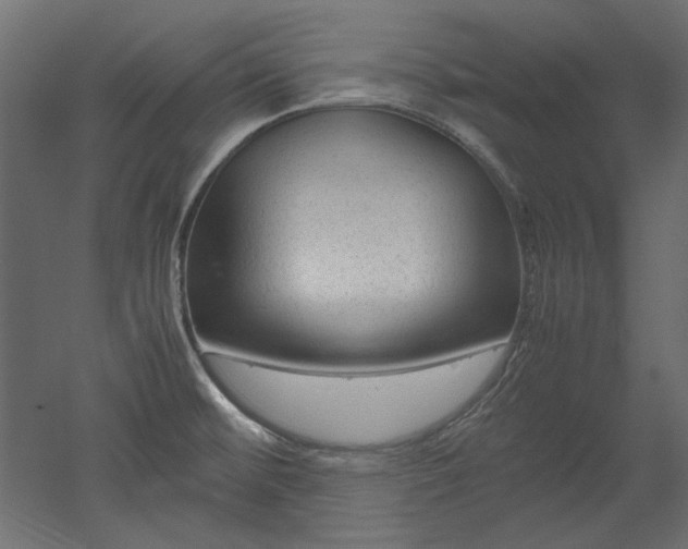 X0000051901476200507011454