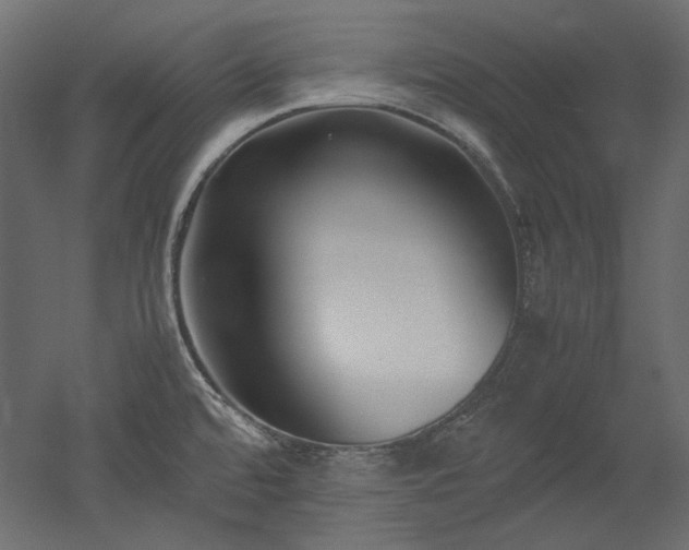 X0000051901480200507011454