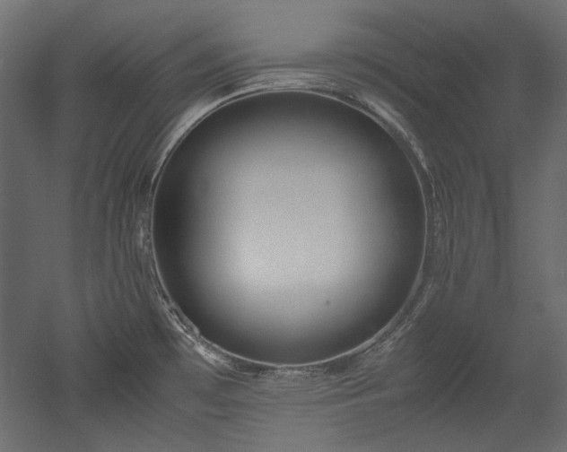X0000051901481200507011454