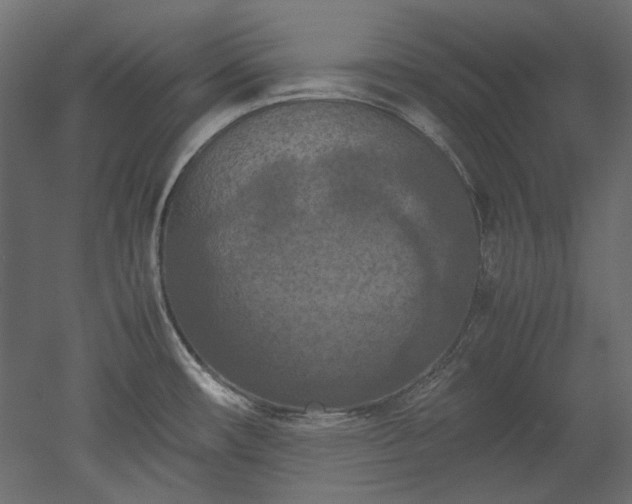 X0000051901482200507011454