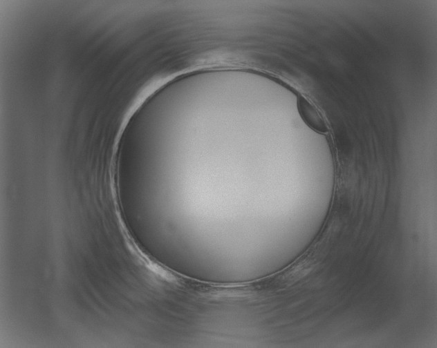 X0000051901486200507011454