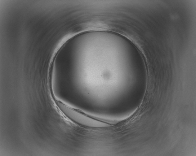 X0000051901488200507011454