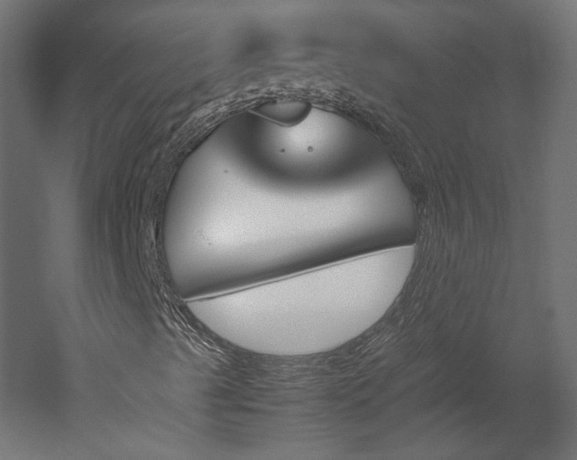 X0000051901489200507011453