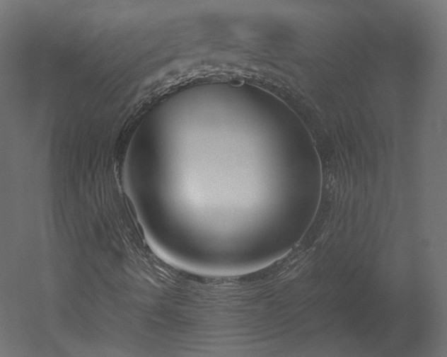 X0000051901490200507011453