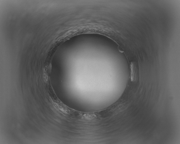 X0000051901491200507011453