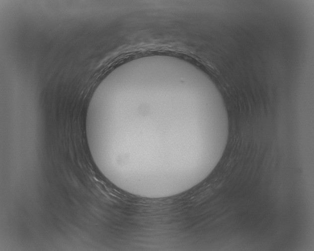 X0000051901492200507011453