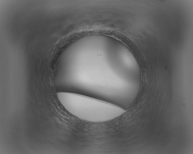 X0000051901493200507011453