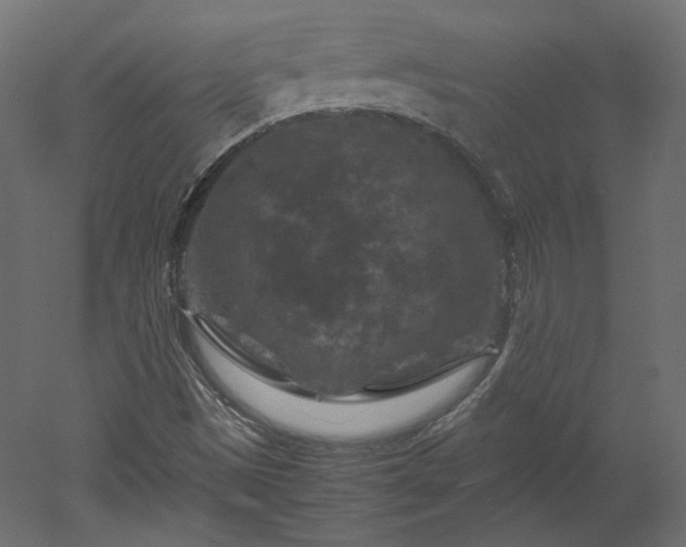 X0000051901497200507011453
