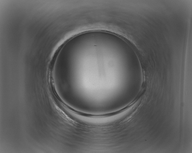 X0000051901510200507011454