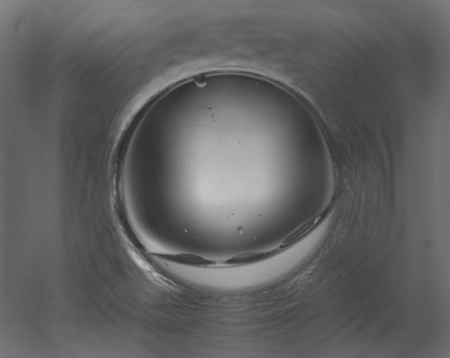 X0000051901511200507011454