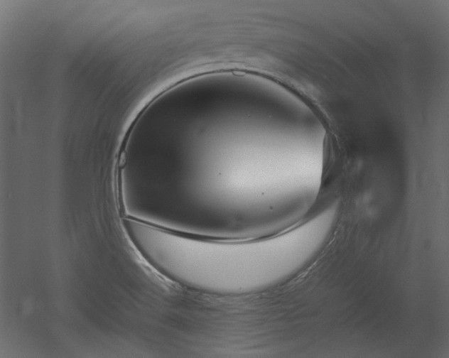 X0000051901516200507011454