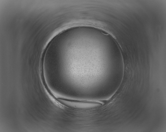 X0000051901523200507011454