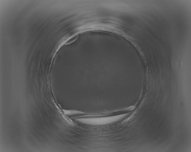 X0000051901529200507011454